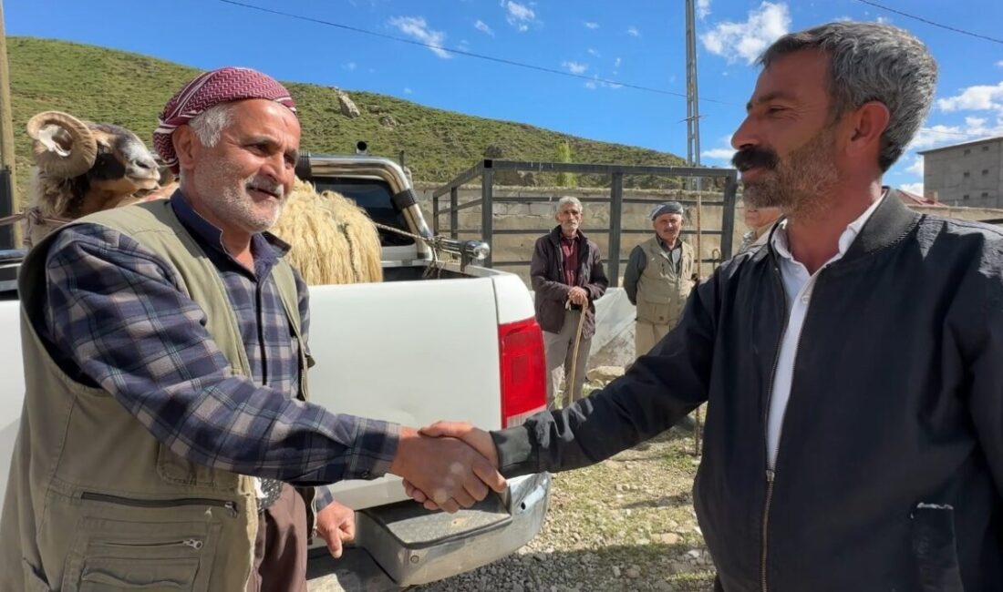 Hakkari’nin Yüksekova ilçesinde, Kurban Bayramı öncesi kurulan canlı hayvan pazarında