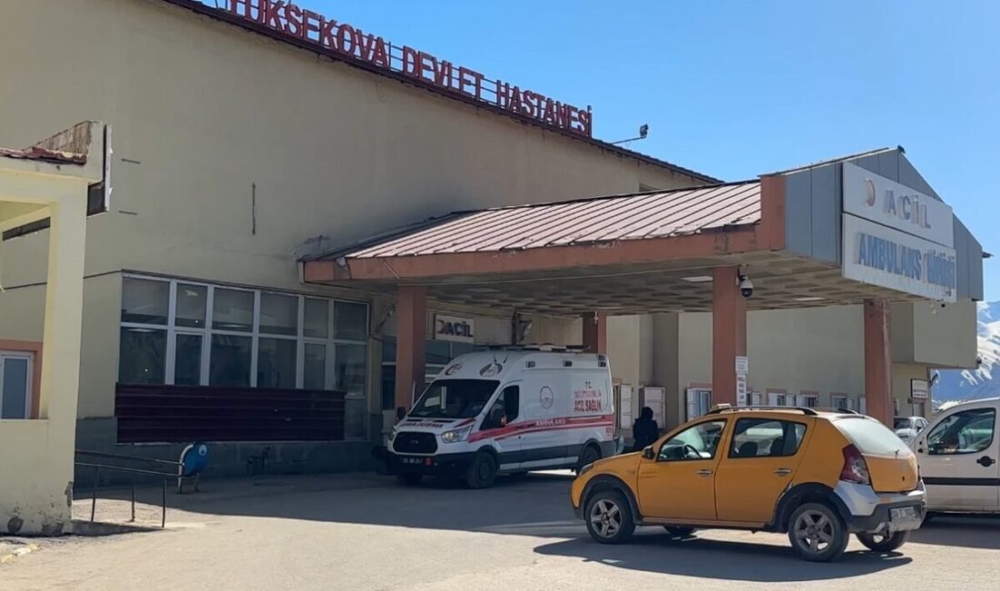 Hakkari’nin Yüksekova ilçesinde yaylada koyun otlatan genç, meydana gelen patlamada