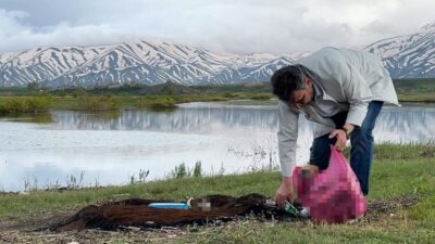 Hakkari’nin Yüksekova ilçesinde havaların ısınmasıyla birlikte piknik alanlarına akın eden
