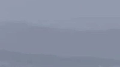 Bursa’nın Mudanya ilçesinde yağmurlu havada deniz yüzeyine çıkan yunuslar dikkat