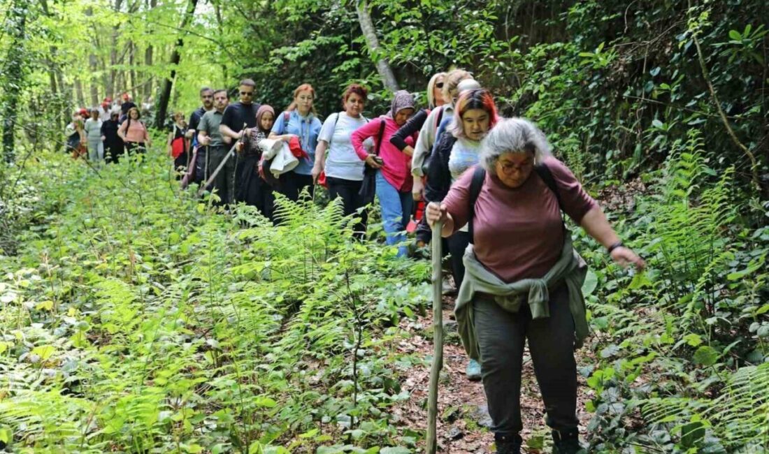 Turizm Haftası kapsamında hava koşulları nedeniyle ertelenen Harmankaya gezisine yaklaşık