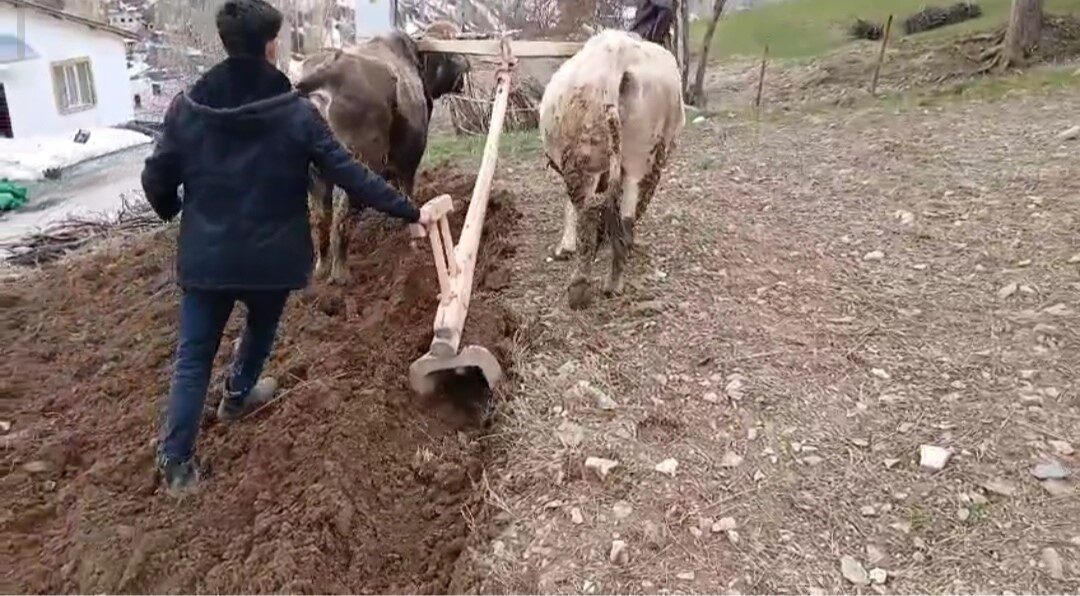 Van’ın Bahçesaray ilçesinde zorlu arazi şartları ve ulaşım sıkıntıları, çiftçileri