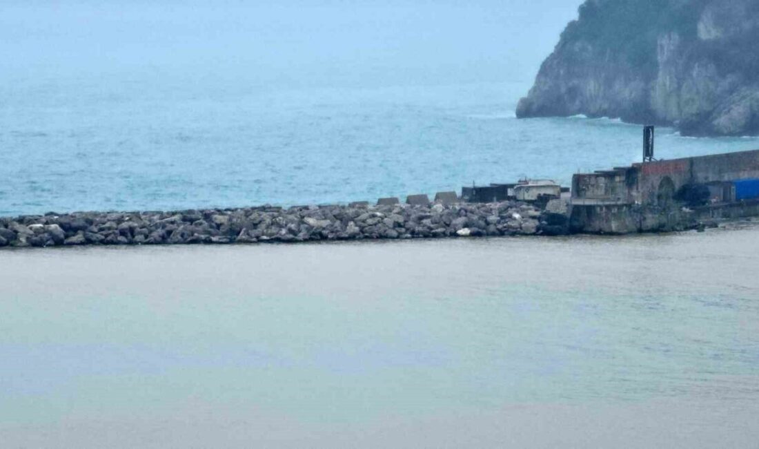 Zonguldak Limanı, düşen hava sıcaklıkları ve yağışla birlikte Asma ve