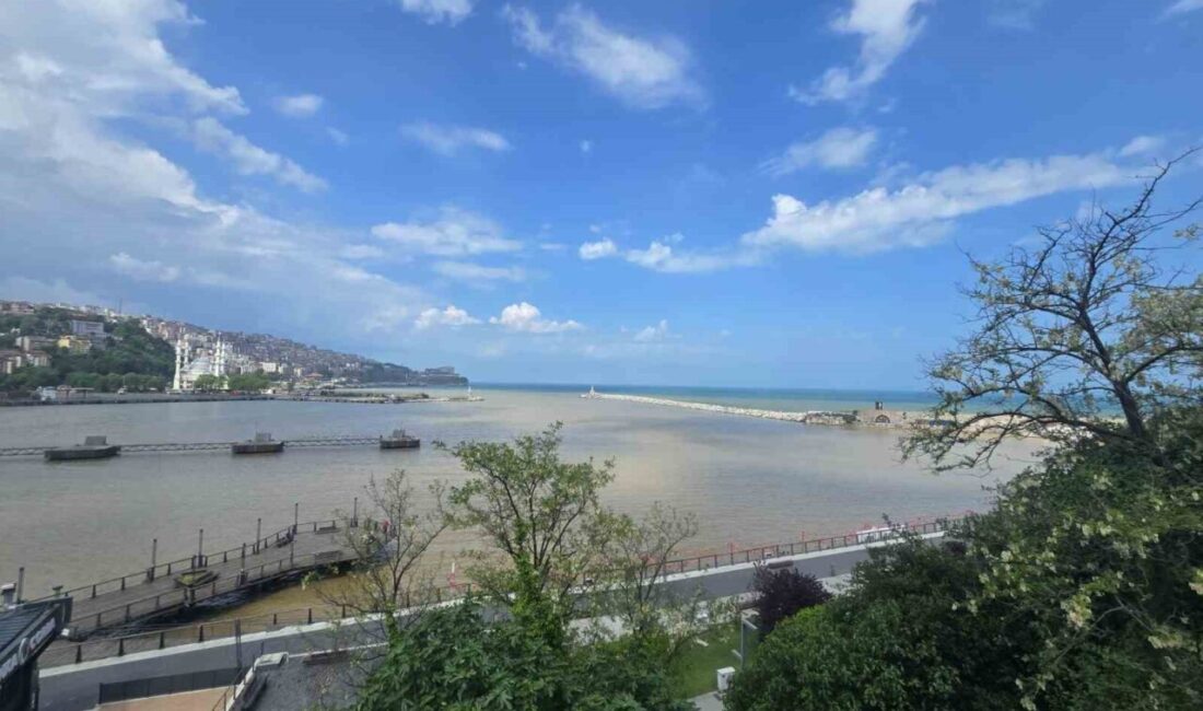 Zonguldak’ta yağışlar sonrası derelerden akan çamurlu suların döküldüğü Zonguldak Limanı’nda