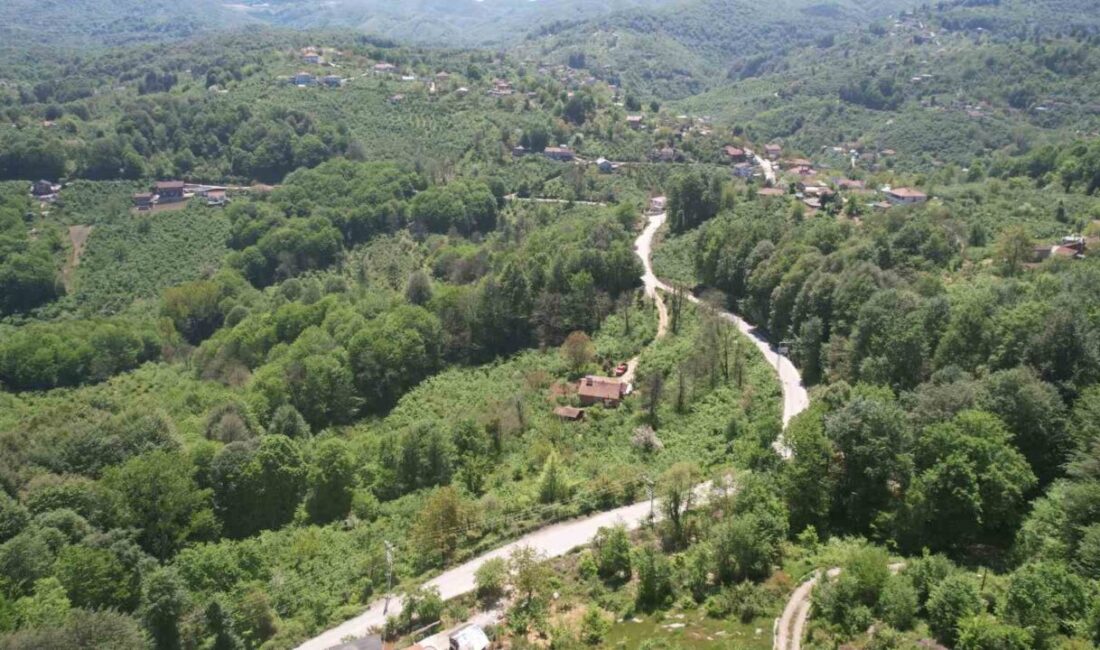 Zonguldak’ta baharın gelişiyle yeşilin tüm tonlarına bürünen ormanlık alanlar, dron
