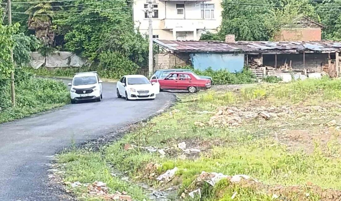 Zonguldak’ın Devrek ilçesinde yağışlar nedeniyle derelerdeki su seviyesinin yükseldiği Yeşilköy,