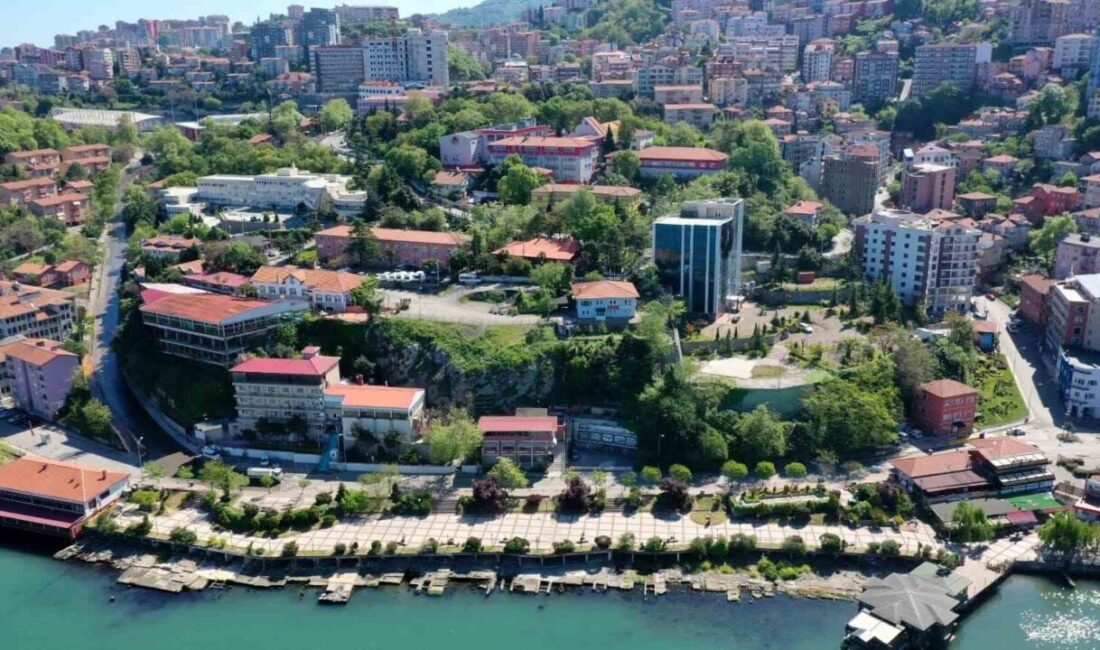 Türkiye İstatistik Kurumu’nun (TÜİK) 2025 yılı aile istatistiklerine göre Zonguldak’ta