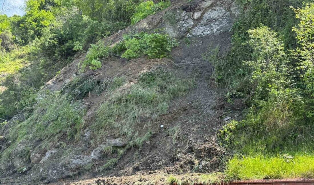 Zonguldak’ta 100. Yıl Şehirlerarası Otobüs Terminali’nde heyelan meydana geldi. Ağaç