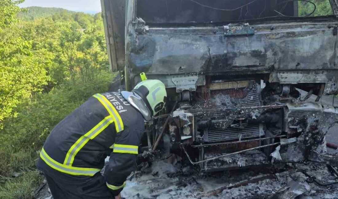 Zonguldak’ın Kozlu ilçesine bağlı Dağköy köyünde seyir halindeki bir kamyonda