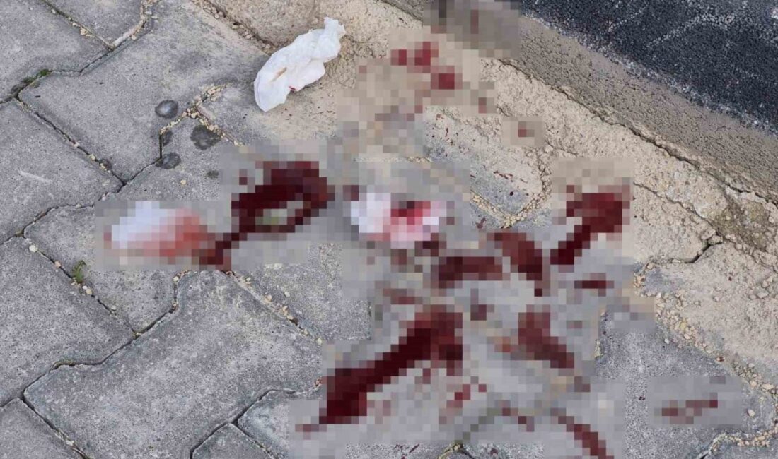 Eskişehir’de 16 yaşındaki çocuk, kimliği bilinmeyen bir şahıs tarafından cadde