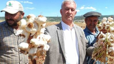 Gaziantep’in Araban ilçesinde Avrupa Birliği (AB) ve coğrafi işaret tescilli