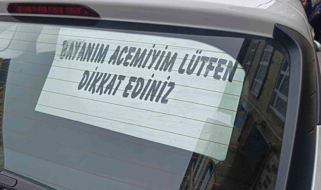 Ordu’nun Altınordu ilçesinde bir otomobilin arka camına asılan ‘Bayanım acemiyim
