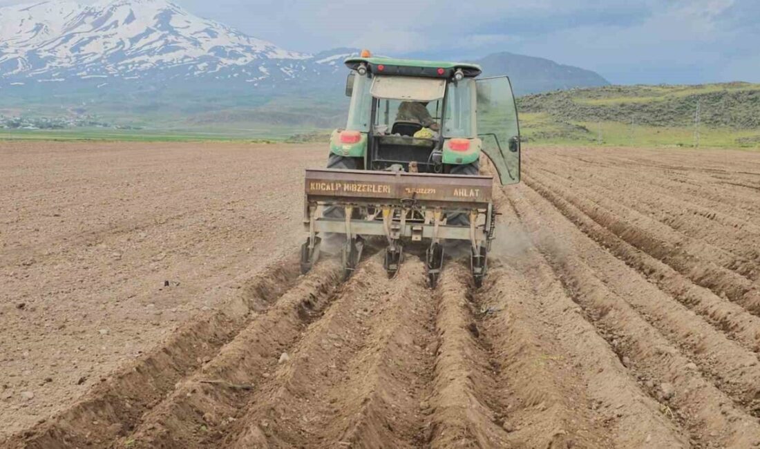 BİTLİS (İHA) – Bitlis’in Adilcevaz ilçesine bağlı Aydınlar beldesindeki çiftçiler,