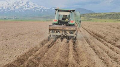 BİTLİS (İHA) – Bitlis’in Adilcevaz ilçesine bağlı Aydınlar beldesindeki çiftçiler,