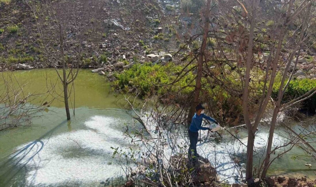 Adıyaman Belediyesi, yaz mevsimiyle birlikte artış gösteren sivrisinek, üvez ve