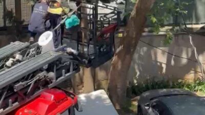 İstanbul’un Kadıköy ilçesinde gece boyunca ağaçta mahsur kalan yavru kedinin