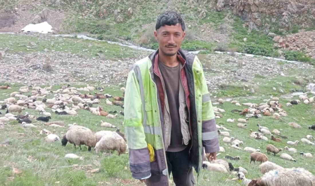 Ağrı’nın Taşlıçay ilçesine bağlı Dilekyazı köyü yaylasında Afganistan uyruklu bir