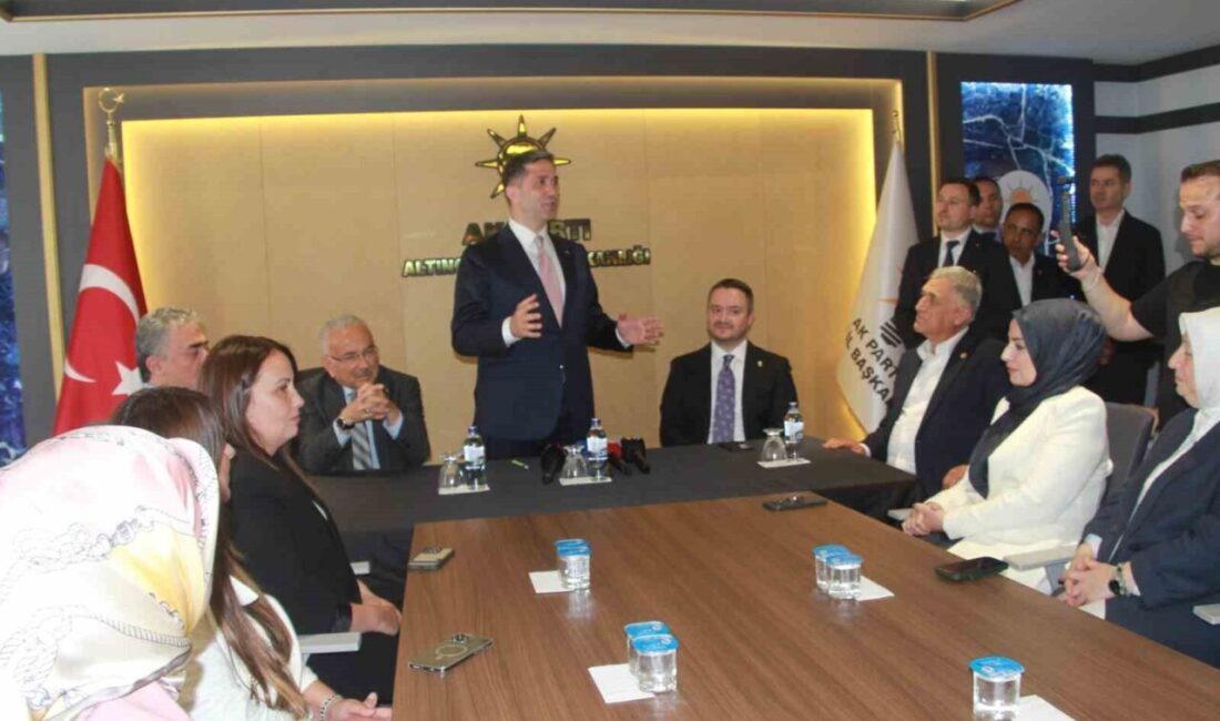 AK Parti Dış İlişkilerden Sorumlu Genel Başkan Yardımcısı ve İstanbul