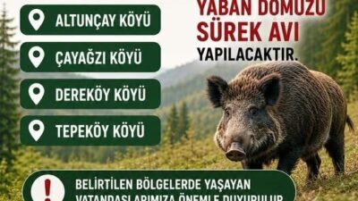 DÜZCE (İHA) – Düzce’nin Akçakoca ilçesine bağlı Altunçay, Çayağzı, Dereköy
