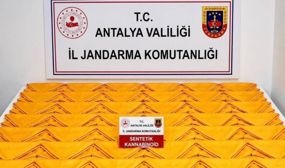 Antalya’nın Alanya ilçesinde jandarma ekiplerince düzenlenen uyuşturucu operasyonunda gözaltına alınan