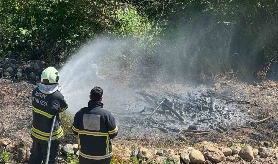 Hatay’ın Antakya ilçesinde zeytinlik alanda çıkan yangın, itfaiye ekiplerinin hızlı