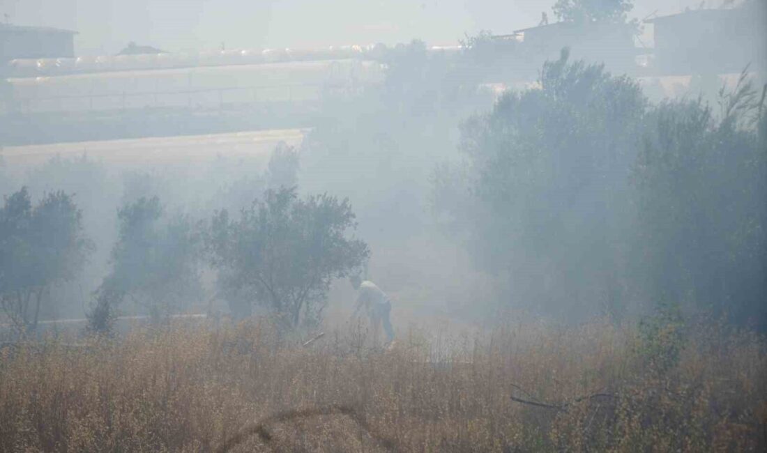 Antalya’nın Aksu ilçesinde çalılık alanda çıkan yangın, rüzgarın etkisiyle seralara