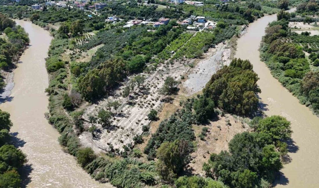 Hatay’ın Defne ilçesinde bir çiftçinin onlarca dönüm arazisi, aşırı yağışlarla