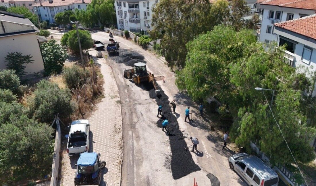 Ayvalık Belediyesi Fen İşleri Müdürlüğü ekipleri, 150 Evler ve Ali