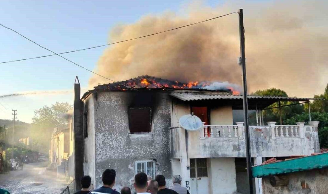 Balıkesir’in Ayvalık ilçesinde metruk bir evde yangın çıktı. Küçükköy Mahallesi’nde