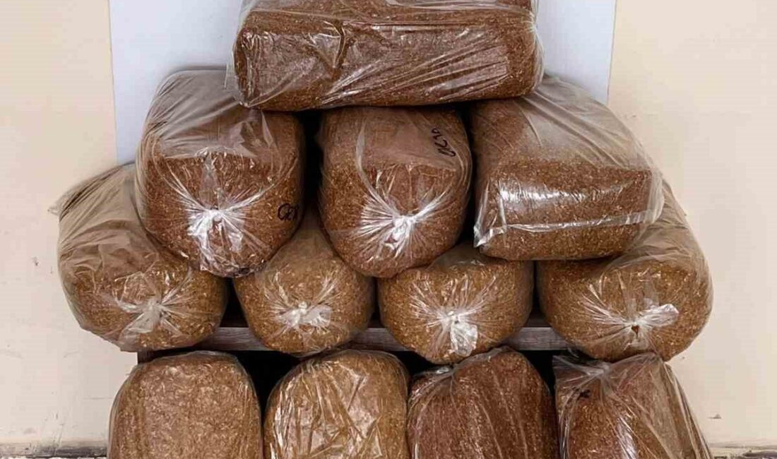 Samsun’un Bafra ilçesinde düzenlenen kaçakçılık operasyonunda 60 kilo kaçak tütün
