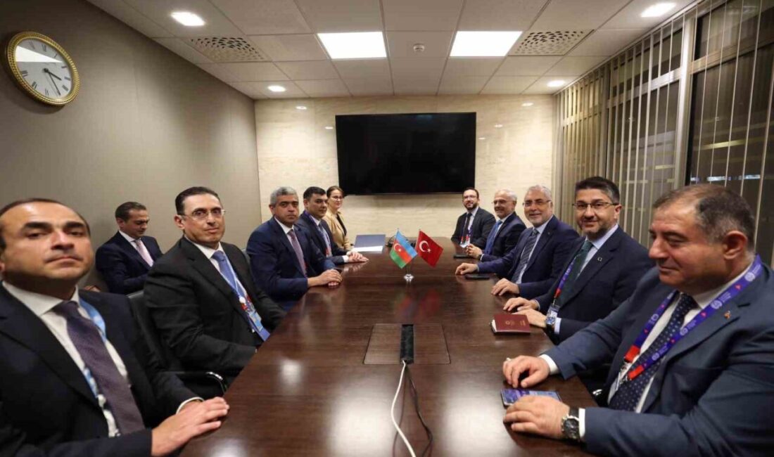Çalışma ve Sosyal Güvenlik Bakanı Vedat Işıkhan, Uluslararası Çalışma Örgütü