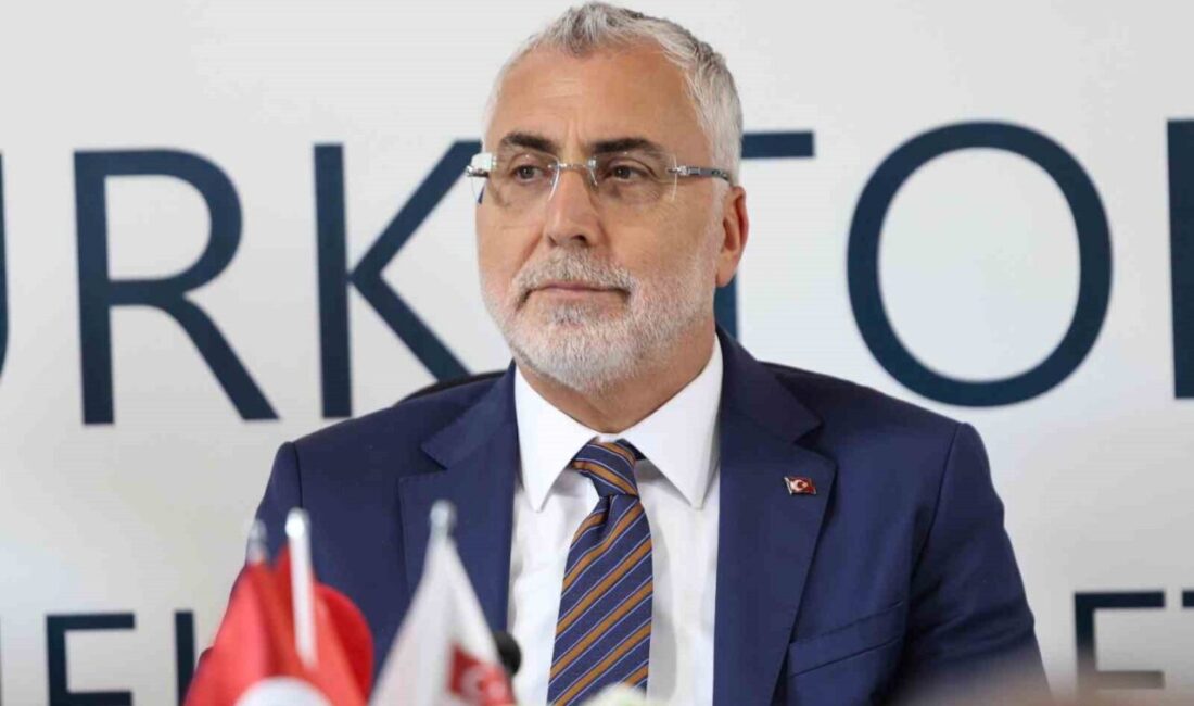 Çalışma ve Sosyal Güvenlik Bakanı Vedat Işıkhan, Uluslararası Çalışma Örgütü