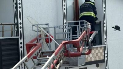 Tekirdağ’ın Marmaraereğlisi ilçesinde bir evin 3’üncü kat balkonuna sıkışan karga,