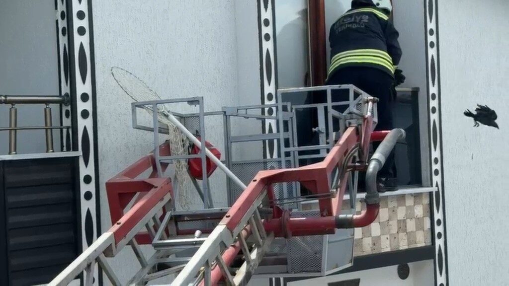 Tekirdağ’ın Marmaraereğlisi ilçesinde bir evin 3’üncü kat balkonuna sıkışan karga,