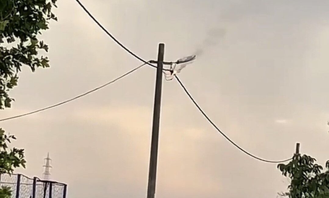 Balıkesir’ in Bandırma’ya bağlı Doğanpınar Mahallesi’nde sabah saatlerinde elektrik hattında