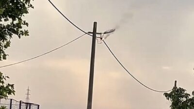 Balıkesir’ in Bandırma’ya bağlı Doğanpınar Mahallesi’nde sabah saatlerinde elektrik hattında