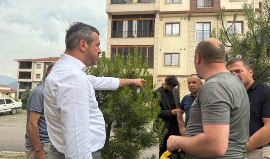 Karabük Belediye Başkanı Özkan Çetinkaya, Belen TOKİ Konutları’nda yapılacak tema