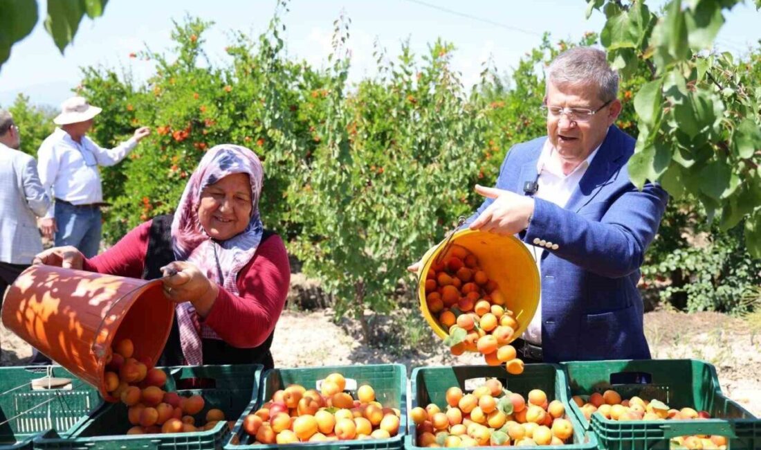 AK Parti Denizli İl Başkanı Muhammet Subaşıoğlu, Denizli’nin tarımsal üretimde