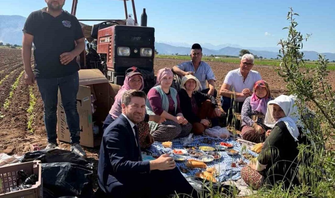 Tavas Belediye Başkanı Kadir Tatık, tütün dikimi yapan çiftçilerle bir