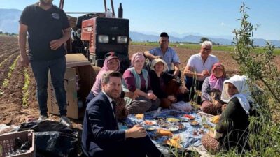 Tavas Belediye Başkanı Kadir Tatık, tütün dikimi yapan çiftçilerle bir
