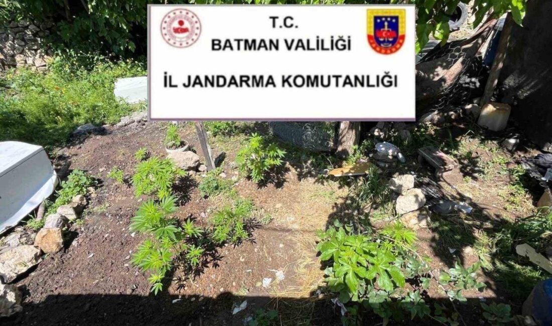 Batman İl Jandarma Komutanlığı ekiplerince kaçakçılıkla mücadele kapsamında yürütülen denetim
