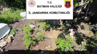 Batman İl Jandarma Komutanlığı ekiplerince kaçakçılıkla mücadele kapsamında yürütülen denetim