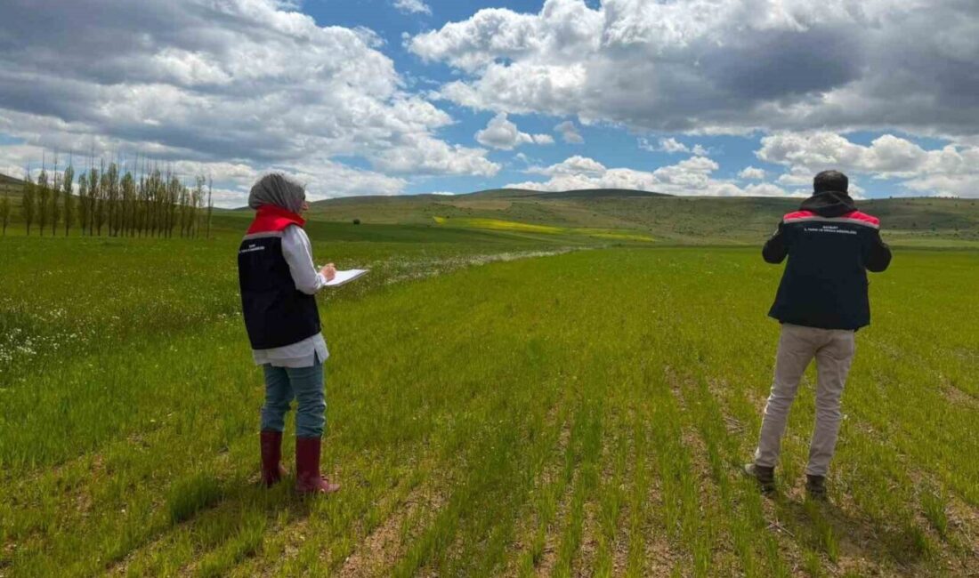 Bayburt’ta Çiftçi Kayıt Sistemi (ÇKS) kapsamında ürün beyan doğrulamaları ile