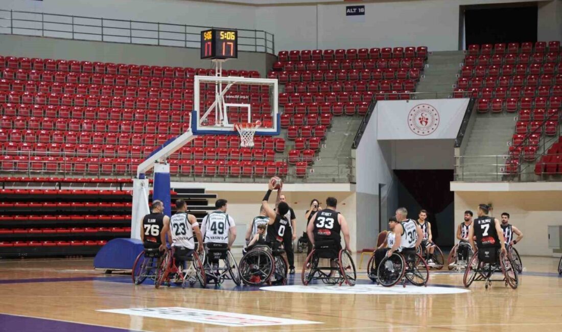Beşiktaş Tekerlekli Sandalye Basketbol Takımı, Tekerlekli Sandalye Basketbol Süper Ligi