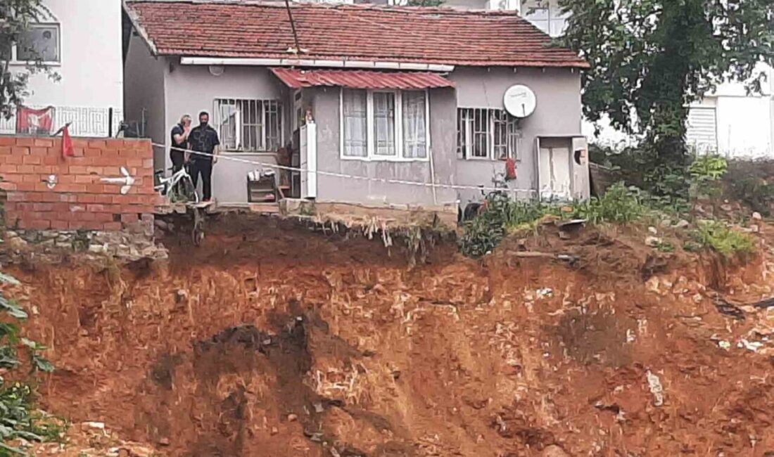 Bilecik’te temel kazısı yapılan bir inşaat alanı kenarında bulunan tek