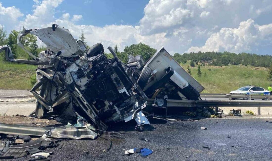 Bilecik’in Bozüyük ilçesinde meydana gelen trafik kazasında 1 kişi hayatını