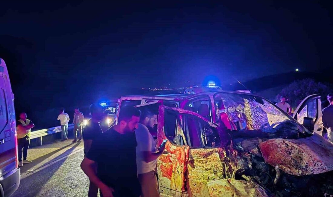 Bingöl’de panelvan araç yola çıkan ata çarptı. Kazada 1 kişi