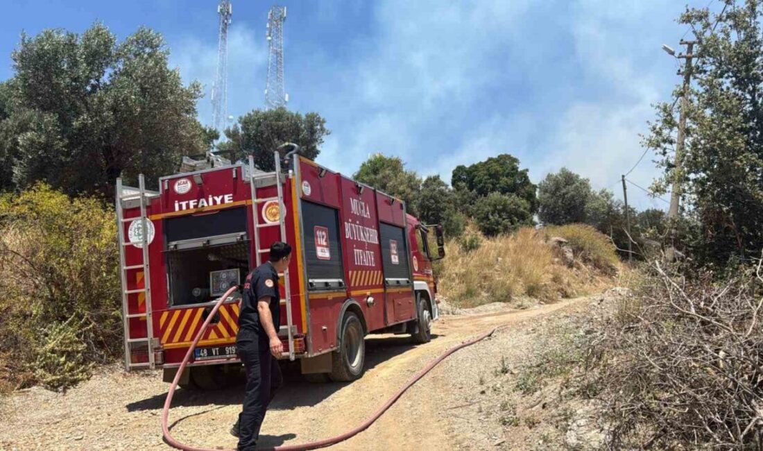 Muğla’nın Bodrum ilçesine bağlı Turgutreis Mahallesinde bulunan otluk ve makilik