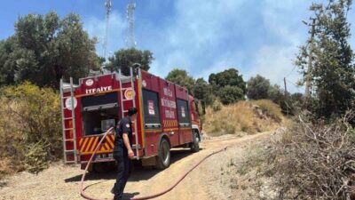 Muğla’nın Bodrum ilçesine bağlı Turgutreis Mahallesinde bulunan otluk ve makilik