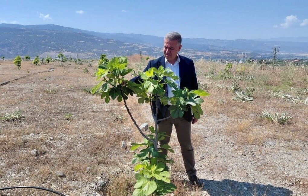 Aydın’ın Buharkent ilçesinde belediye tarafından hayata geçirilen ilek bahçesi projesi